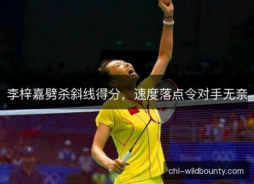 李梓嘉劈杀斜线得分，速度落点令对手无奈